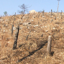 ʯ�ִ�ʯ���6�qŮ��������ˮ