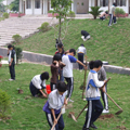 3.12植樹節(jié)