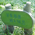 愛護(hù)花草